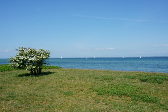 Sommertag an gr&uuml;ner K&uuml;stenlandschaft mit segelbooten