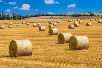 Strohballen auf abgeerntetem Getreidefeld
