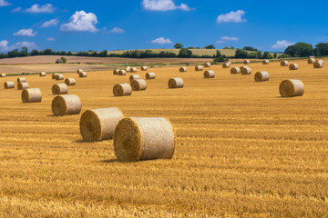 Strohballen auf abgeerntetem Getreidefeld © Eberhard Spaeth