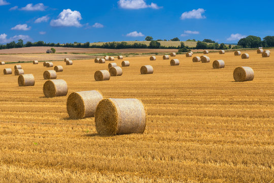 Strohballen auf abgeerntetem Getreidefeld