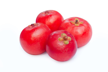 Garcinia cowa Roxb Fruit, Madan red isolated on white background with clipping path .