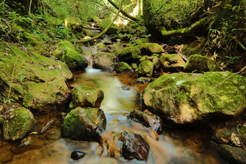 Naklejka na ściany i meble water source form stream in mountain range