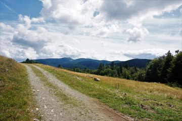 Fototapeta na wymiar Dirt road in front of mountain ridges of the Vosges