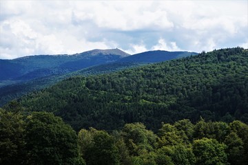 Fototapeta na wymiar Beautiful green mountain range in front of the Grand Ballon mountain