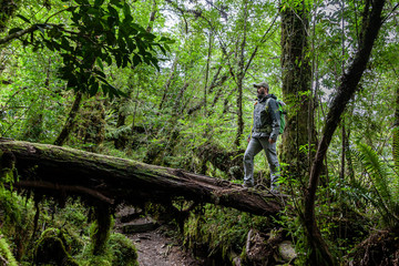 Tourist standing on a fallen tree on a trail in the mountains of chilean patagonia - obrazy, fototapety, plakaty