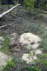 Ukrainian metal thieves destroy the infrastructure of the railway. Pits and dumps after theft of the railway cable. Copper mining in Kiev,Ukraine