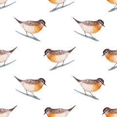 Cute, little bird. Seamless pattern. Watercolor illustration.