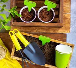 Planting plants at home. Paper pots and placards for writing names. Garden inventory. Rake, shovel,...