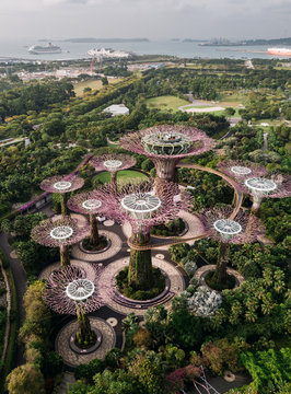 Aerial view of Gardens by the Bay in Singapore.