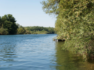 Bei Istein, am Rande des alten Rheins zwischen Kleinkems, Weil am Rhein und Breisach. Das Ufer am...