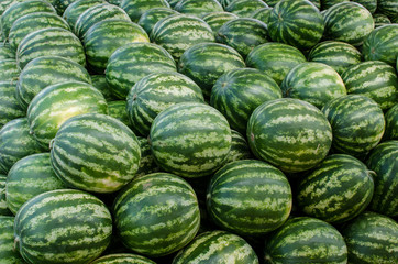 Watermelons at the market