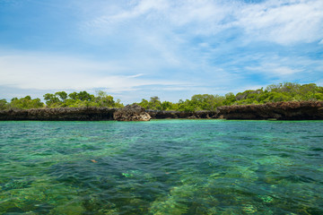 tropical lagoon tanzania