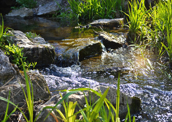small waterfall in the forest