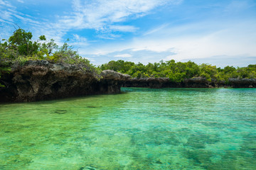 tropical island in zanzibar