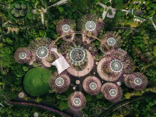 Foto op Plexiglas Aerial view of Gardens by the Bay in Singapore. © Andrew Bayda