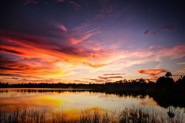 A fiery sunset over a lake in a nature preserve in St. Lucie County, Florida.