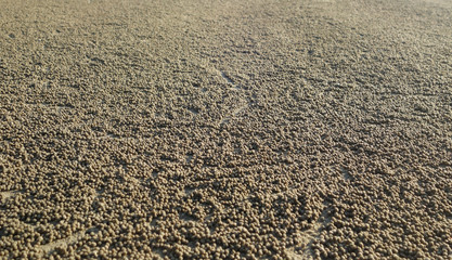 photo of natural textures and backgrounds