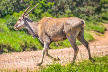 South Africa