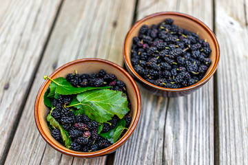 Black ripe mulberries berries fruit with green leaves in bowls picked from garden farm harvest on wooden table
