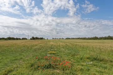 Italien - Apulien - Brindisi - Umland
