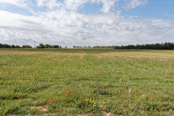 Italien - Apulien - Brindisi - Umland
