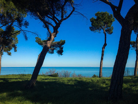 Pineto - Abruzzo - Italy
