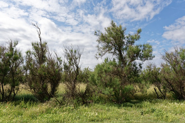 Italien - Apulien - Brindisi - Umland