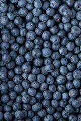Fresh blueberry background. Texture blueberry berries close up