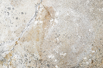 light limestone with interesting texture visible. background