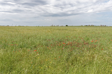 Italien - Apulien - Brindisi - Umland