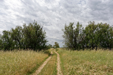 Italien - Apulien - Brindisi - Umland