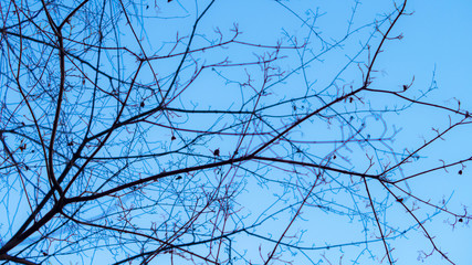 abstract, autumn, background, bright background, brown, desc, desktop, desktop computer, dream, forest, horror, horror background, landscape, minimal, natural, nature, object, outdoor, outdoors, park,