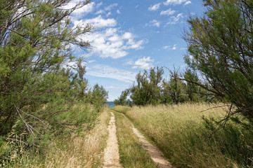Italien - Apulien - Brindisi - Umland