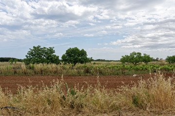Italien - Apulien - Landwirtschaft - allgemein