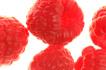 himbeere nahaufnahme freisteller