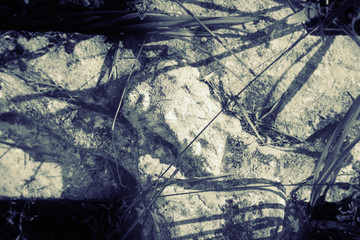 Black and white image of the crucifixion of Jesus Christ. Very old and ancient stone destroyed statue in the grass.