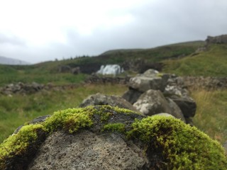 moos steinmauer perspektive tiefensch&auml;rfe
