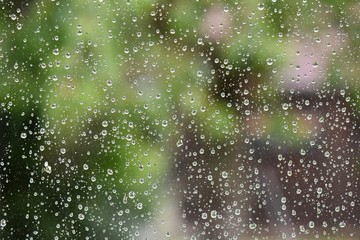 rain drops on window