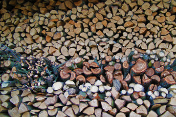 a lot of firewood as a background. chopped coniferous and birch firewood as background