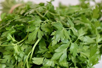 fresh green parsley