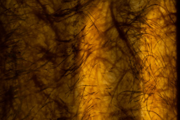 plastic texture