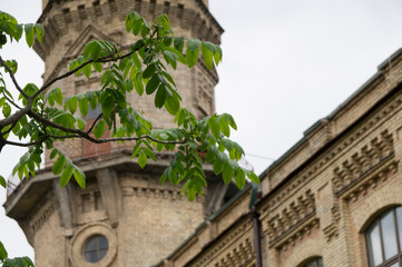 Obraz premium Old historical europian buildings in the city