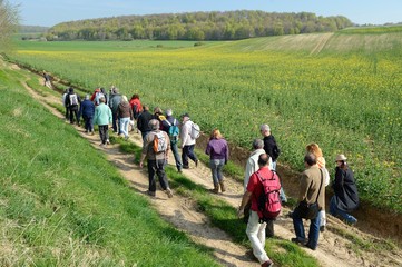 Groupe de randonneurs sur un chemin à travers champs