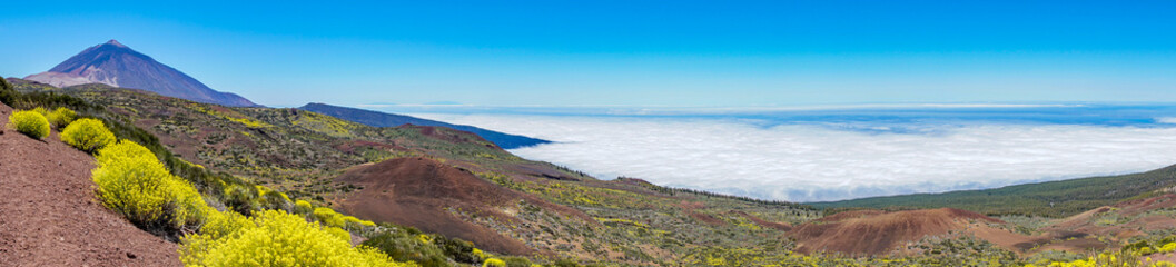 Panorama-Aufnahme der Vulkan-Landschaft auf Teneriffa im Frühling