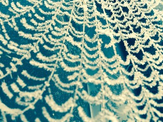 nahaufnahme eiskristalle spinnennetz