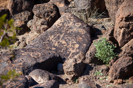 Petroglyphs at Painted Rock Petroglyph Site