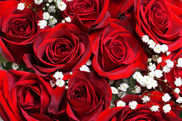 fresh red roses in a bouquet as background