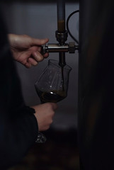 brewer pours freshly brewed beer into a glass