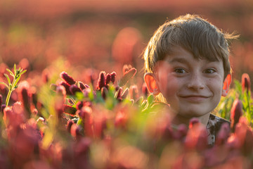 Happy boy looking above flowers in th eclover field. Optimistic scene.