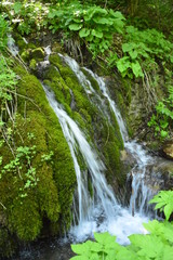 green waterfall in the woods